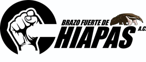 Plataforma Brazo Fuerte de Chiapas